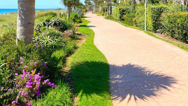 A paved pathway lined with palm trees and flowering plants, leading towards a beach. - Patio Alcornocal by Residea (El Paraíso)