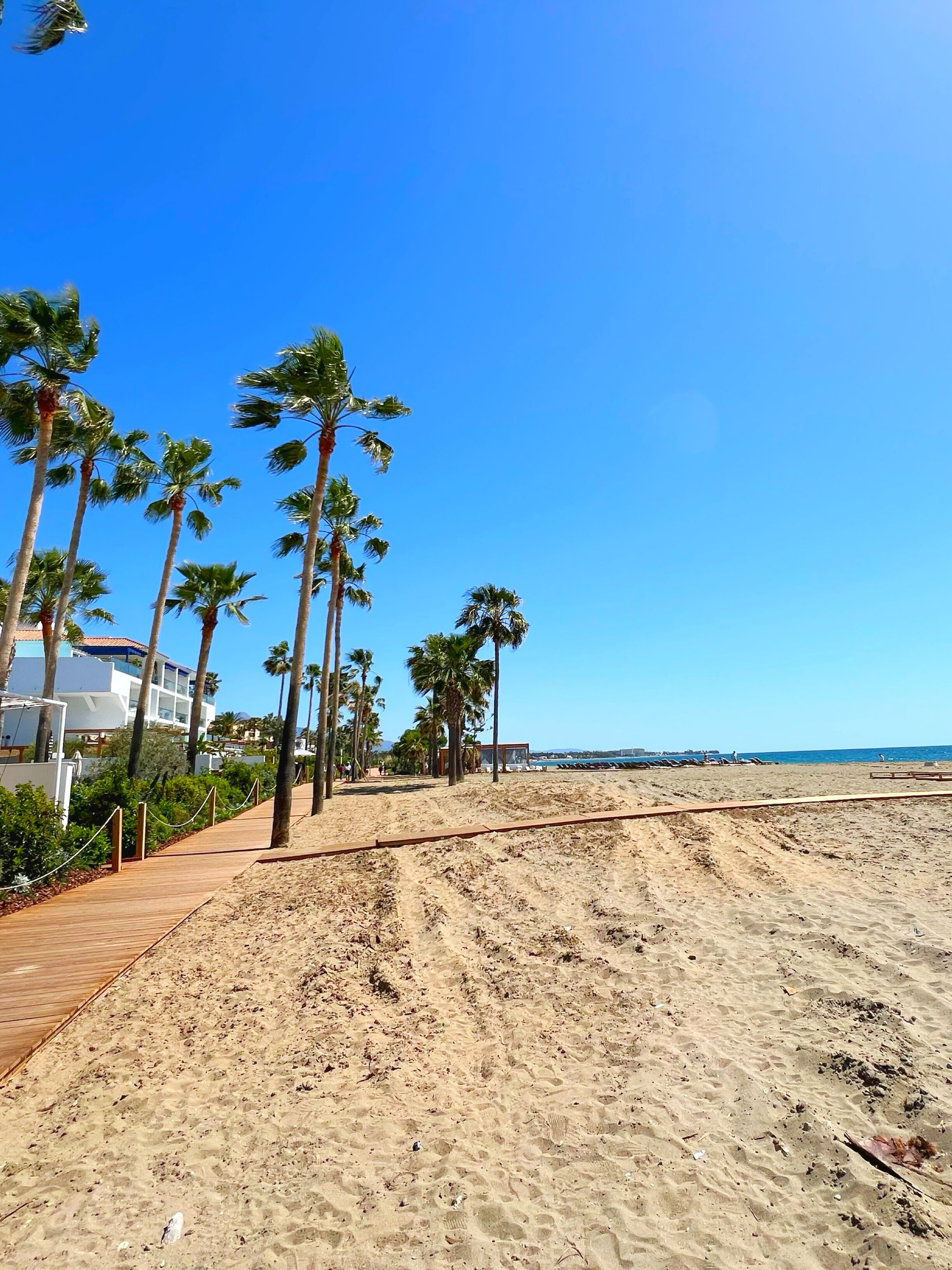 A sandy beach with palm trees and a wooden walkway.