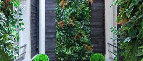 Un étroit couloir extérieur agrémenté d’un mur végétal vertical, de deux arbustes taillés en forme de cône placés dans des pots et d’une clôture en bois sombre.