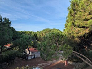 Property grounds - Casetta Verde - 150 m from the sea (Sardegna)