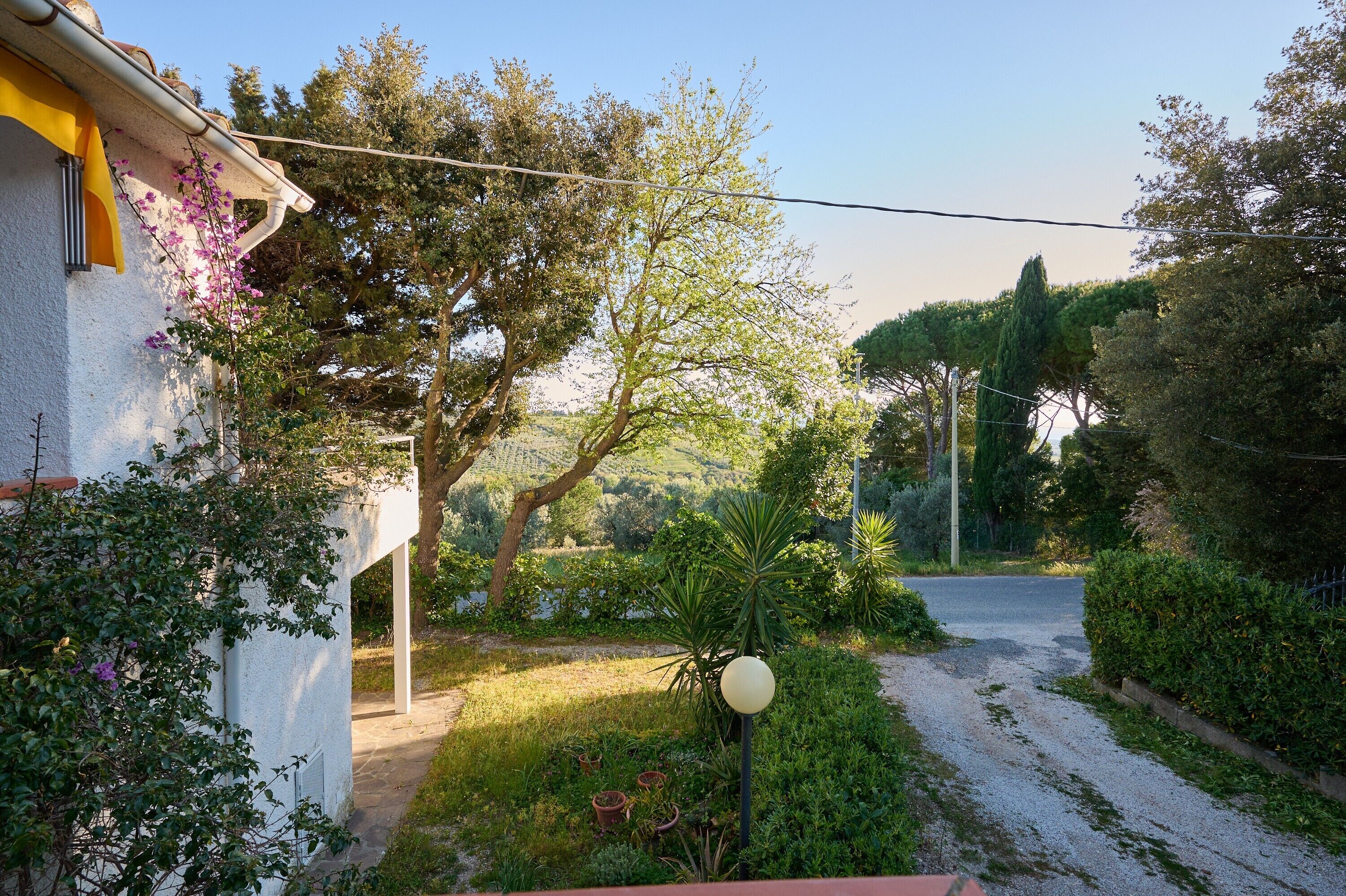 Parco della struttura