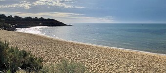 Saltwood Mornington - A Conscious Coastal Retreat