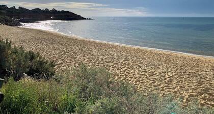 Saltwood Mornington - A Conscious Coastal Retreat