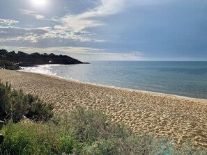 House, 4 Bedrooms, Patio | Beach - Saltwood Mornington - A Conscious Coastal Retreat (Melbourne)