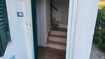 Detalle del exterior