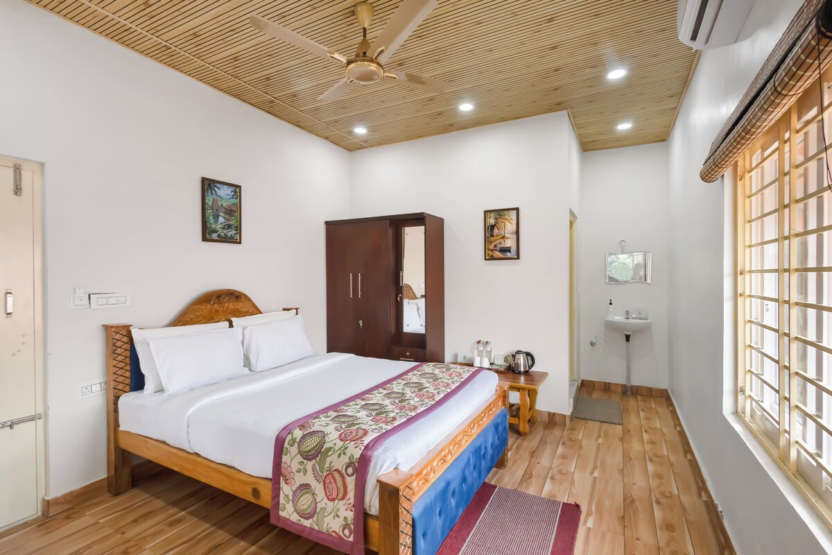 Habitación clásica doble, vistas a la montaña | Wifi gratis