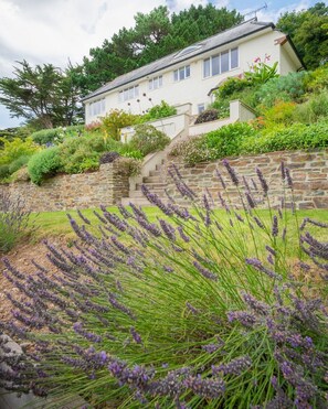 Property grounds - Beautiful holiday home with outstanding views near North Sands Beach, Salcombe (Salcombe)