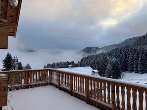 Property grounds - Beautiful 3 bedroom chalet in Le Biot, close to slopes/lakes - Portes du Soleil (Le Biot)