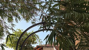 Unclassified image, 3 of 89, button - Bhoomi by Ostello (Varkala)