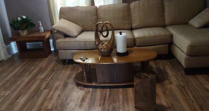 Charming 1-bedroom apartment with AC in lively Lansing