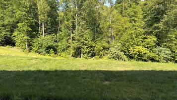 A grassy field with trees in the background.