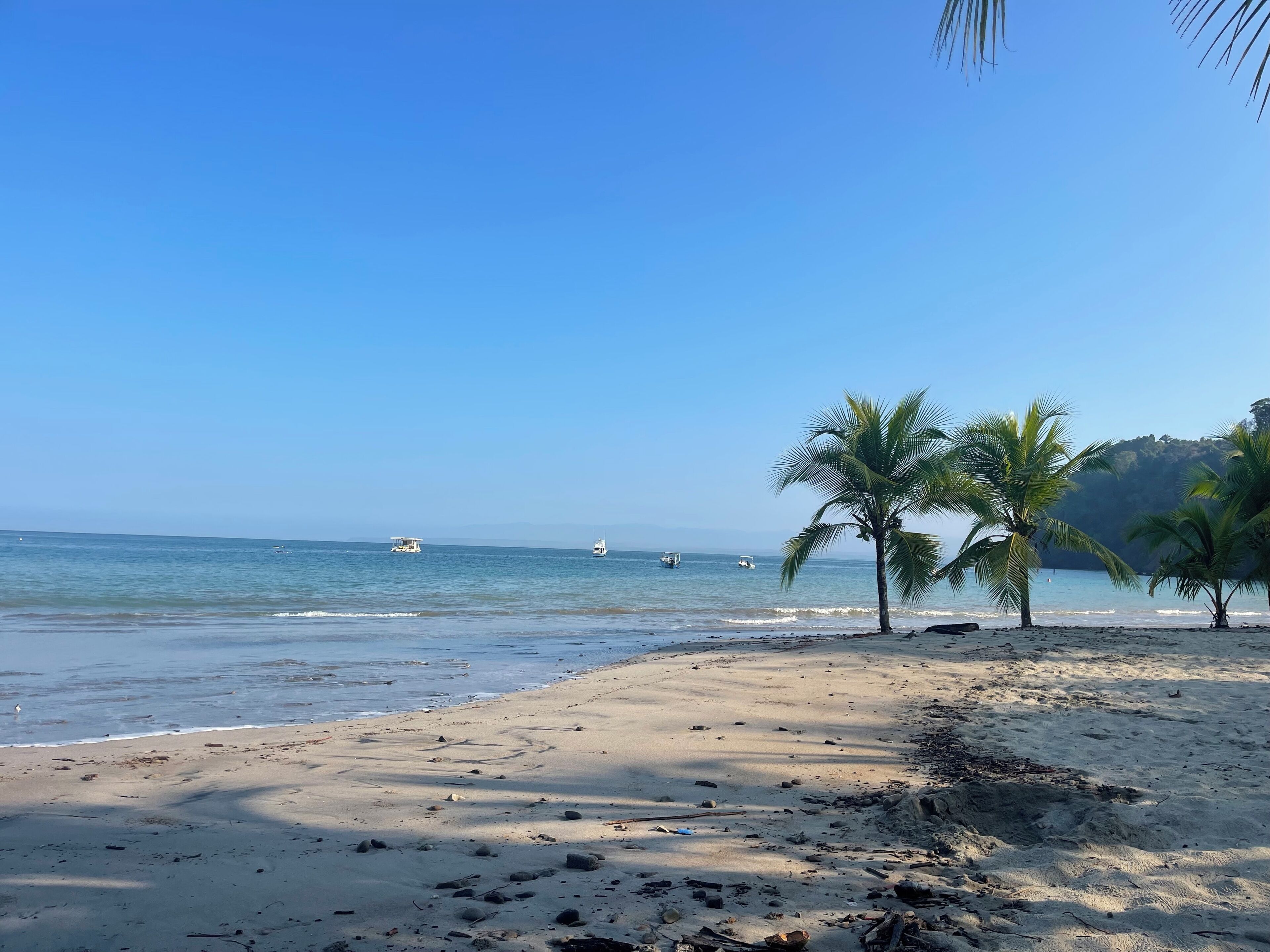 بالقرب من الشاطئ