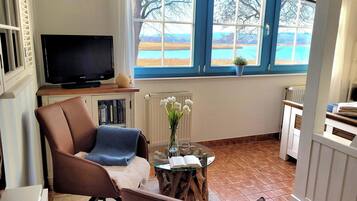 Fernseher, DVD-Player, Bücher