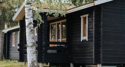 Newly Renovated 2BR Cabin in Riihivuori