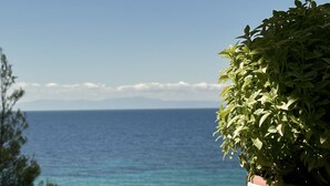 A terrace with a view of the sea, a potted plant, and a table. - Sea Horizon Spacious Sea View Villa for Families and Groups (Halkidiki)