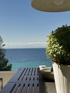 A terrace with a view of the sea, a potted plant, and a table. - Sea Horizon Spacious Sea View Villa for Families and Groups (Halkidiki)