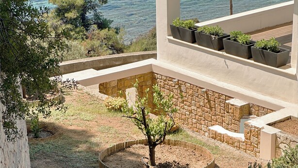A garden with a tree, shrubs, and a stone wall. - Sea Horizon Spacious Sea View Villa for Families and Groups (Halkidiki)