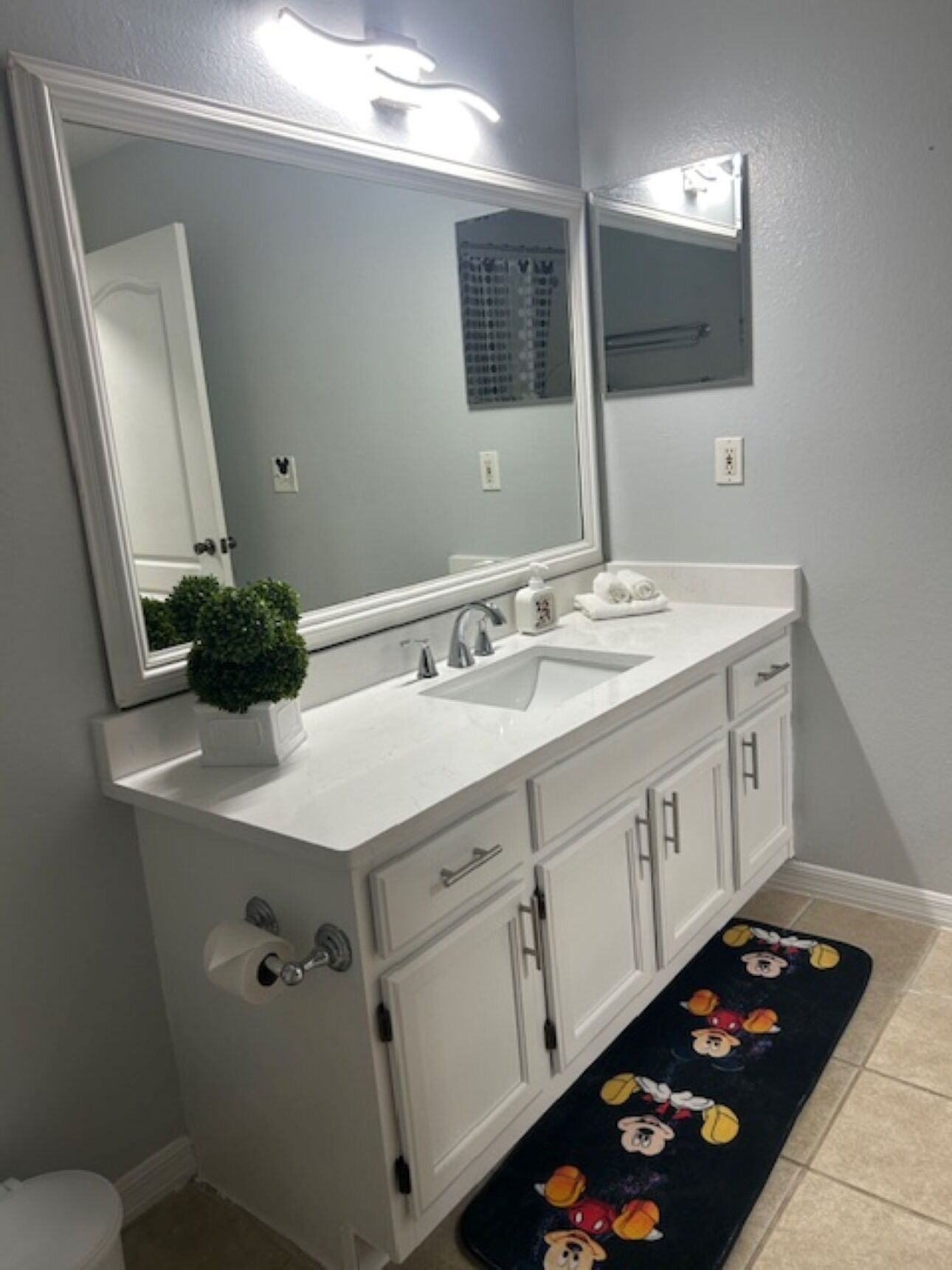 Bathroom Sink area