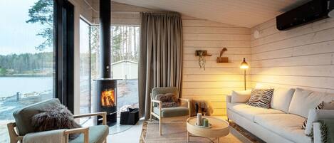 TV, fireplace, books, stereo