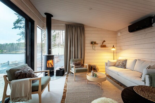 TV, fireplace, books, stereo