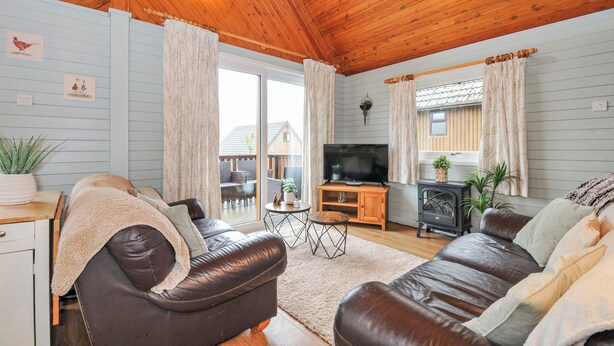 A cozy living room with a wooden ceiling, a brown leather sofa, a TV, and a small wooden cabinet. - Cornish Woodland Retreat (Bodmin)