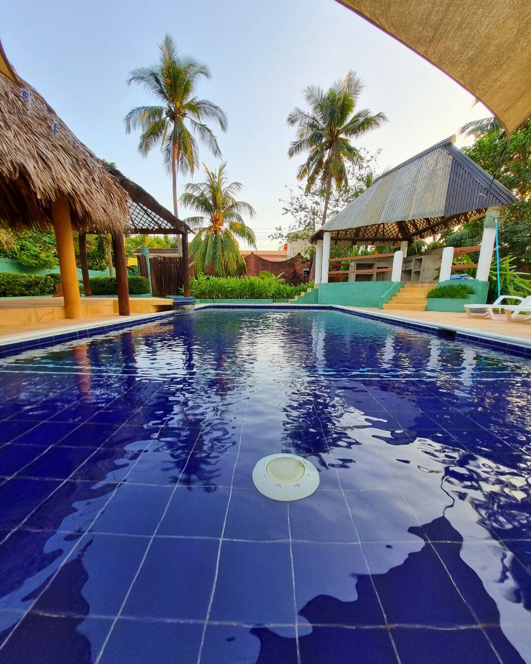 A swimming pool with tiled edges, surrounded by palm trees and a thatched-roof structure.