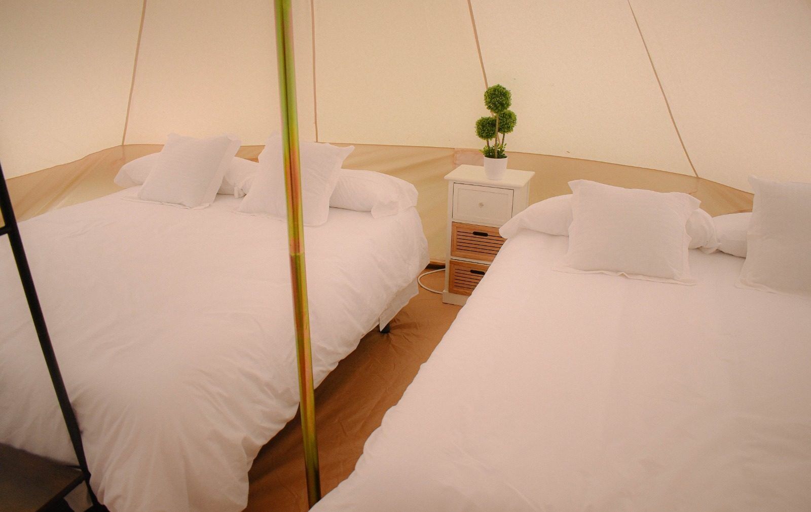 A tent-style room with two beds, white bedding, and a small white nightstand with a potted plant.