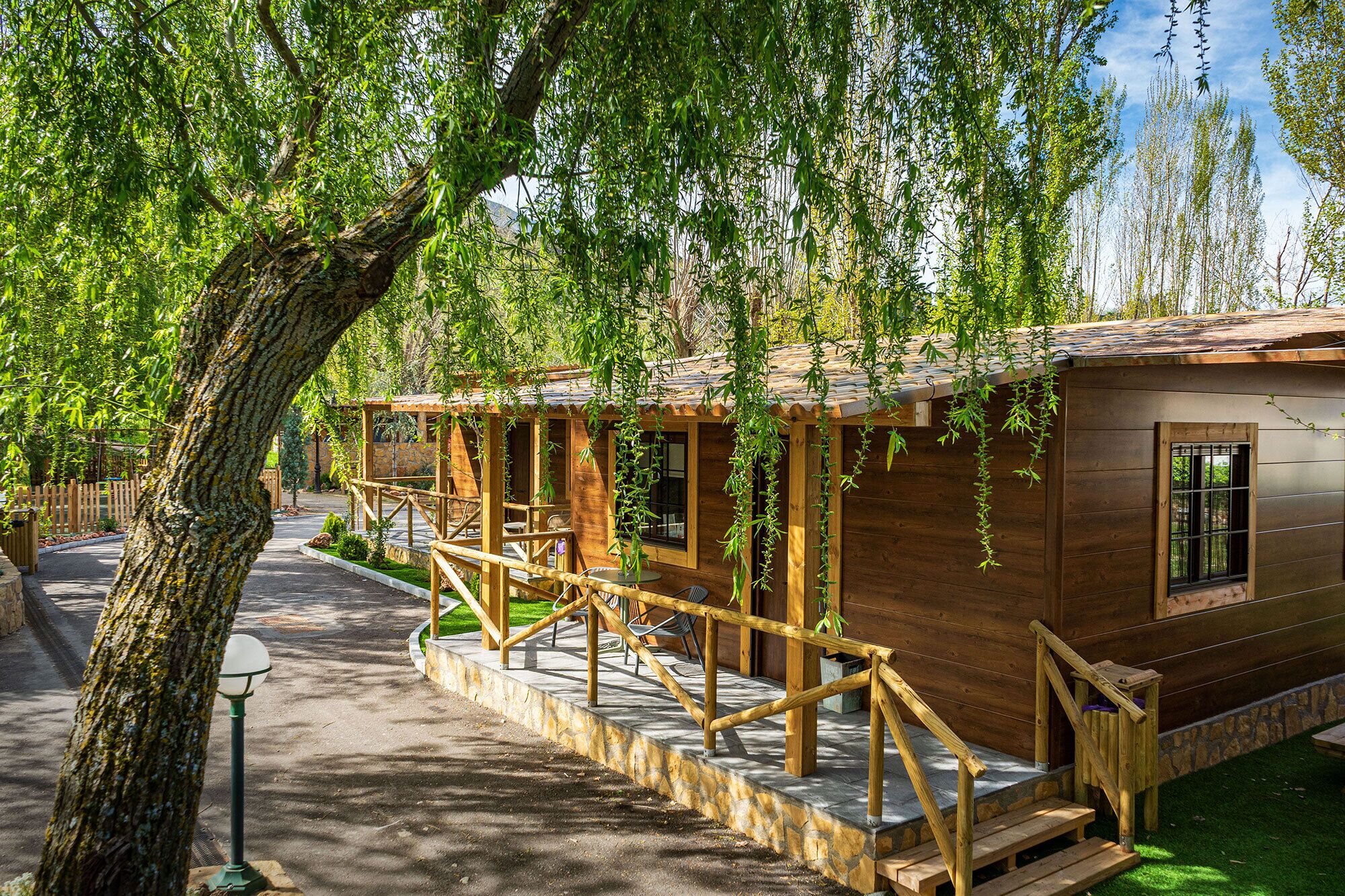 A wooden cabin with a porch, a stone pathway, and a tree in the foreground.