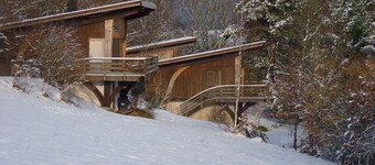 Chalet 22 minutes from Gérardmer