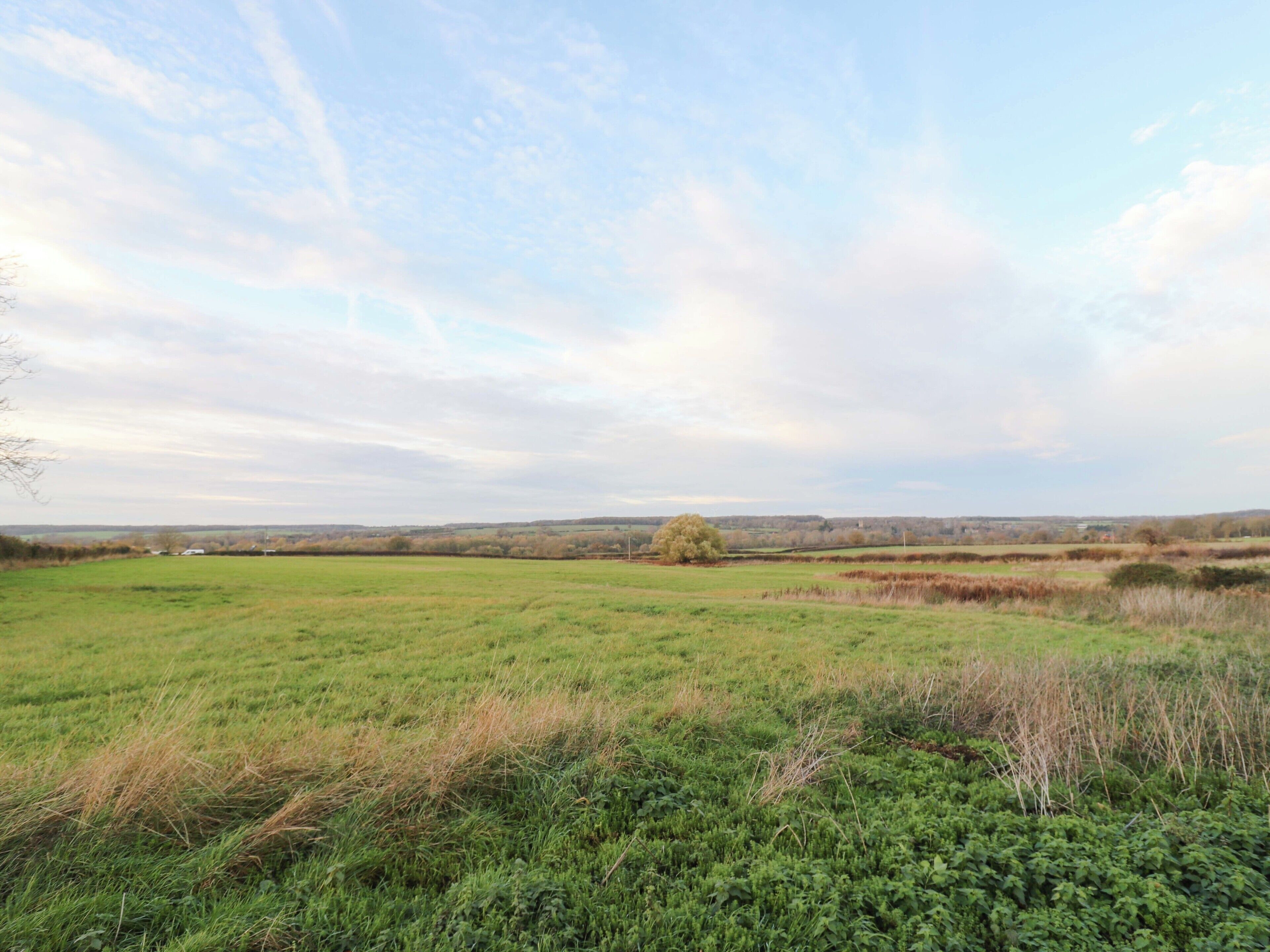 A rural landscape with open fields, a few scattered trees, and a distant view of a town.