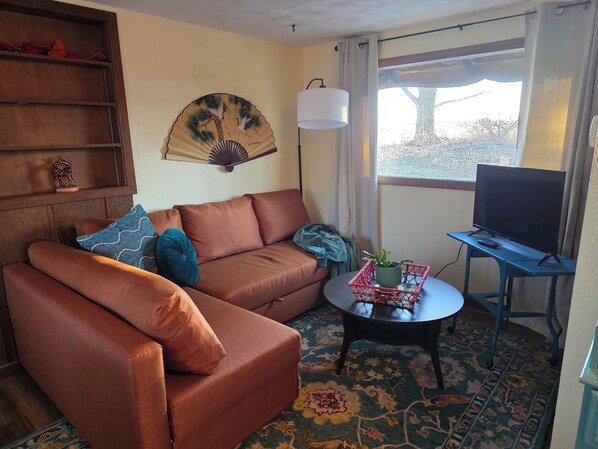 A living room with a brown sofa, a small round table with a plant, a television on a stand, and a large window with curtains. - The Casita - Cozy Guesthouse in Tranquil Knoxville Neighborhood (Knoxville)