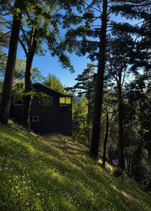 Property grounds - NEW! Luxury 3Bed •2 En-suites • Views + Wood burner, & DISCO LOO (Crestline)