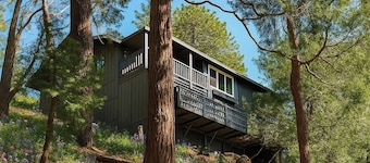 NEW! Luxury 3Bed •2 En-suites • Views + Wood burner, & DISCO LOO