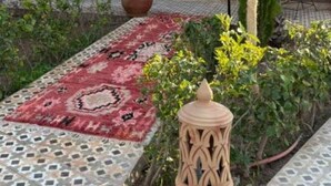 Un espace extérieur abrité, agrémenté d’un tapis à motifs, d’un palmier et d’une lanterne.