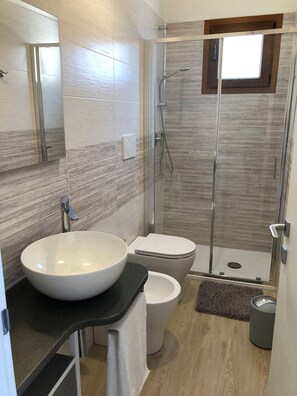 Regadera, secadora de cabello, bidet, toallas 