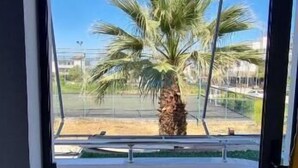 A balcony with a view of a palm tree and a clear blue sky. - 2 Palmat Hotel  (Ksamil)