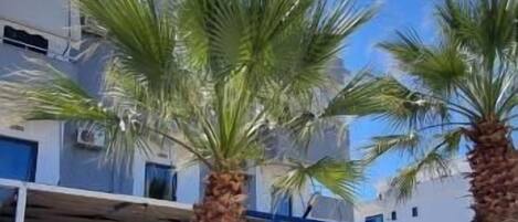 Quadruple Room | Desk, bed sheets