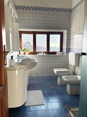 Shower, hair dryer, bidet, towels