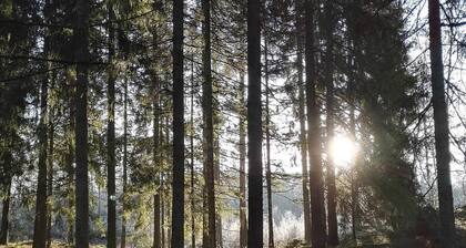 5 Person Holiday Home in Knutby