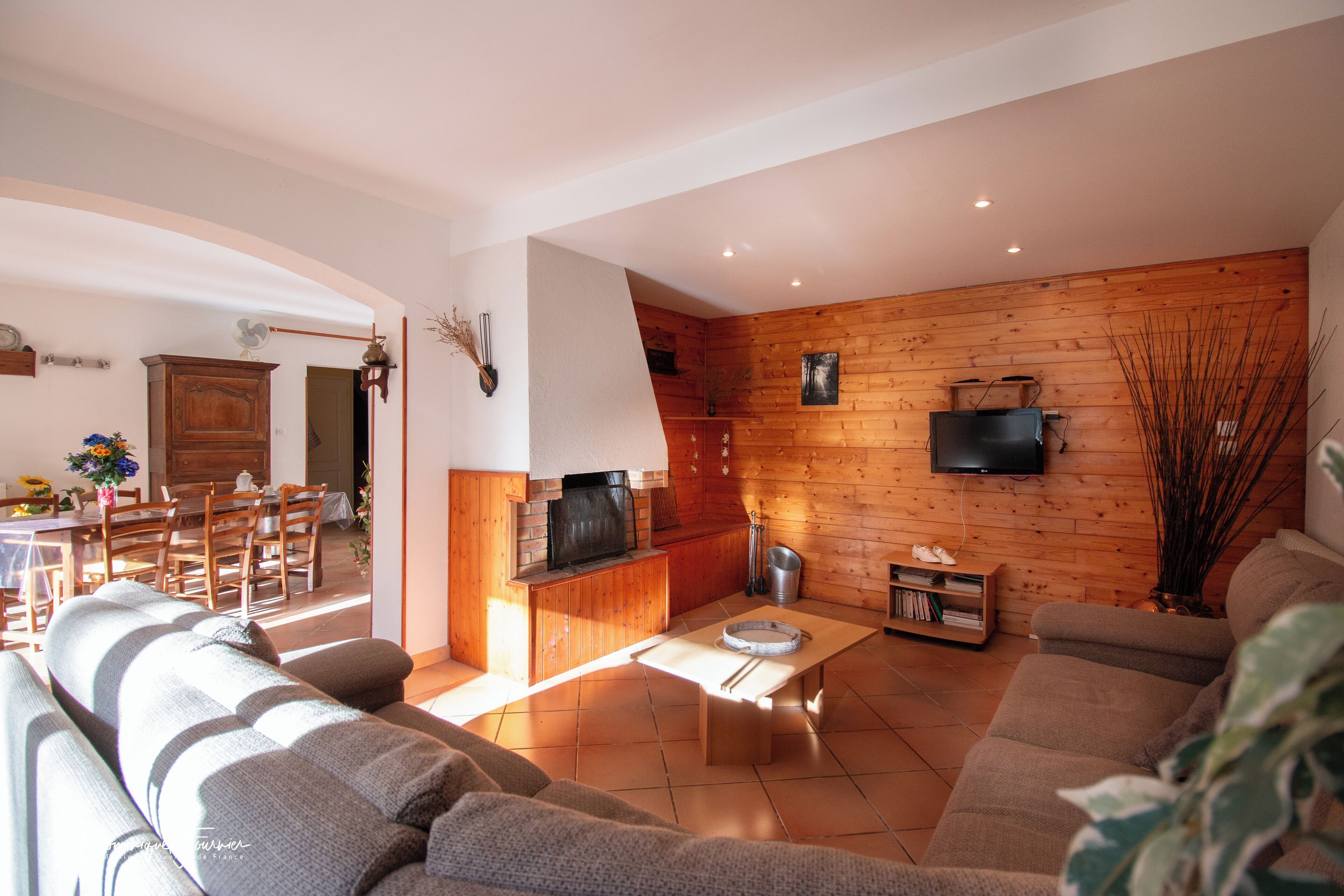 Una televisión, una chimenea, libros