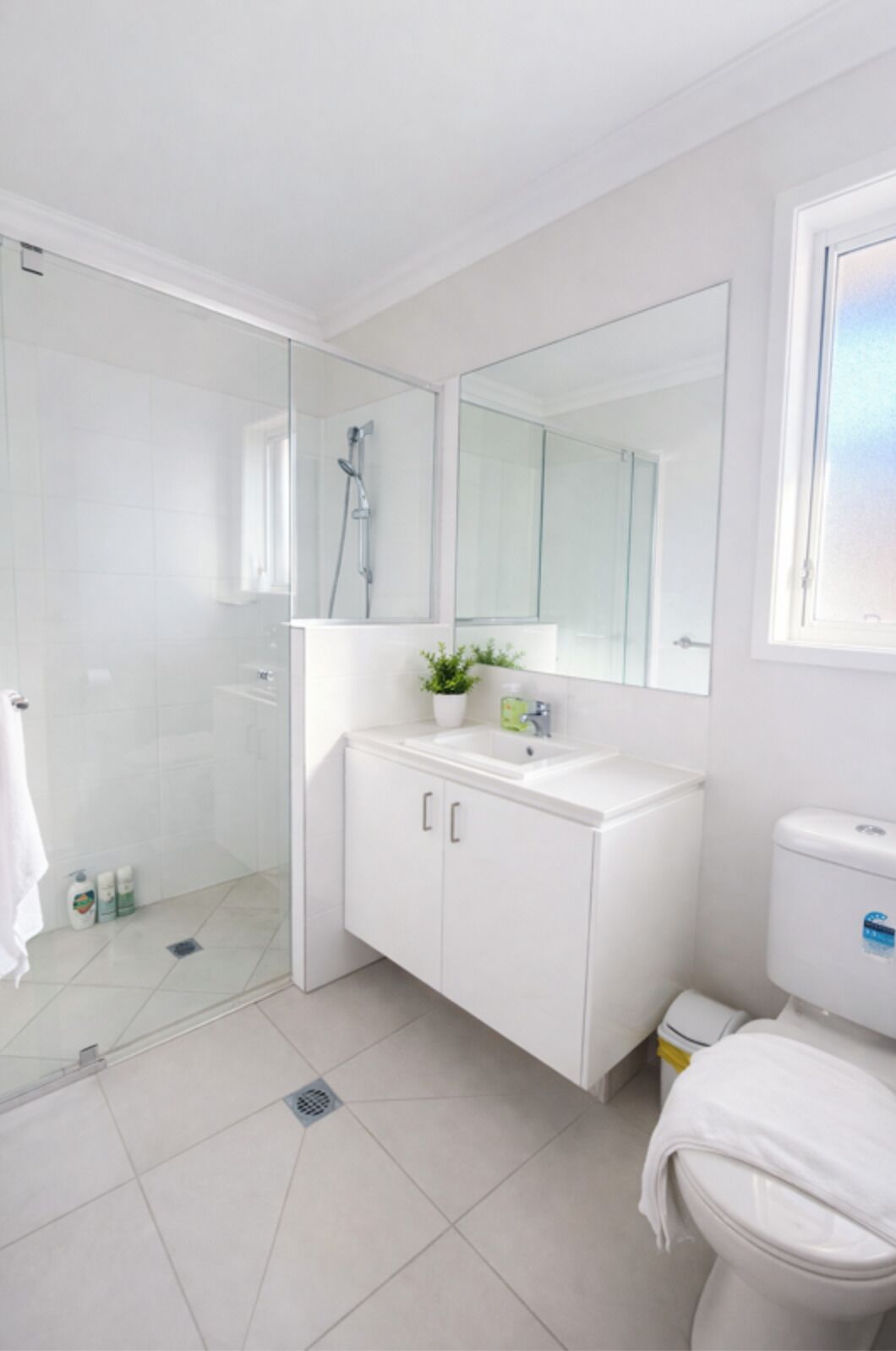 Hair dryer, towels, toilet paper