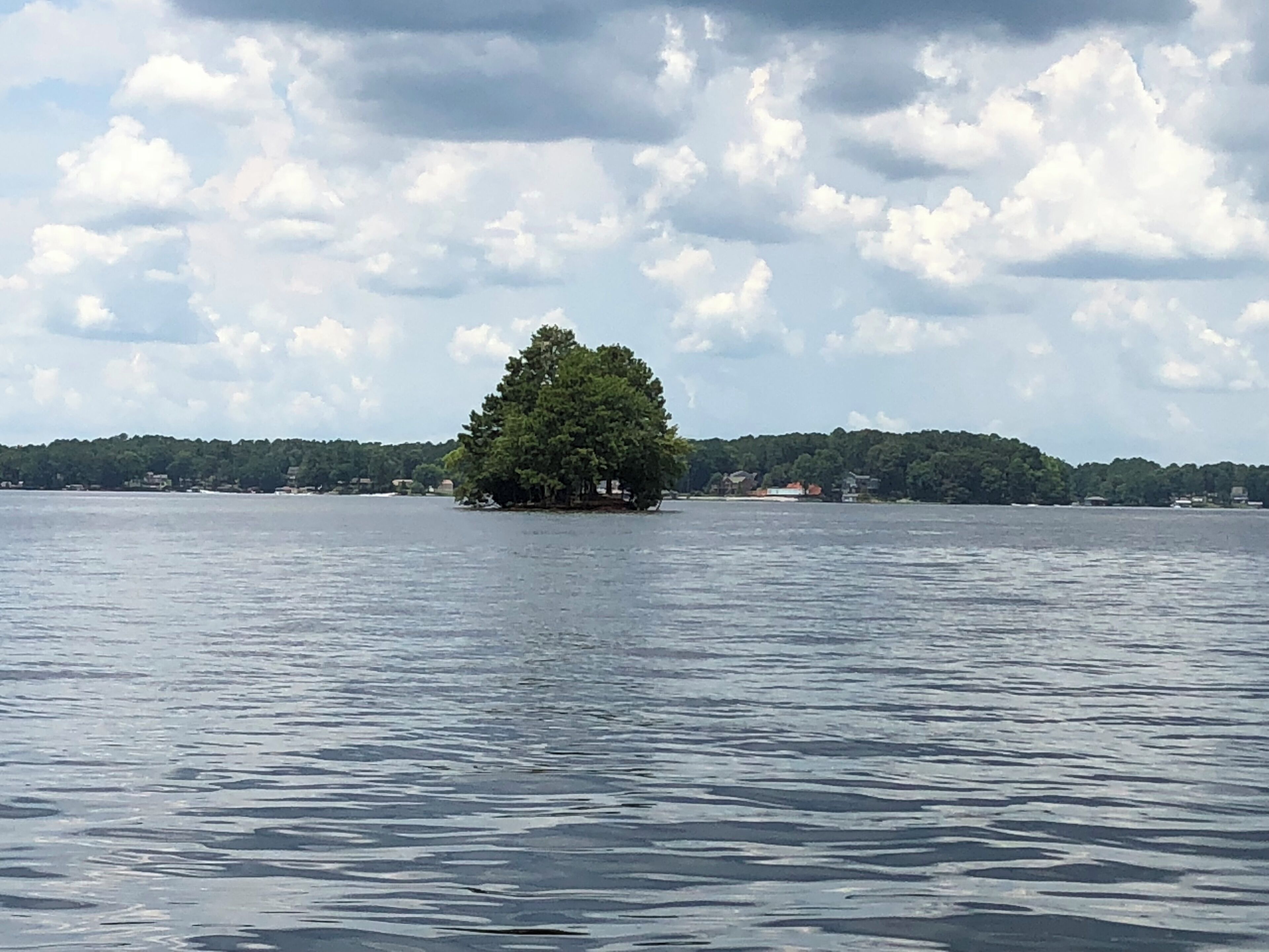 A small island with dense green foliage in the middle of a calm body of water, surrounded by a forested shoreline.