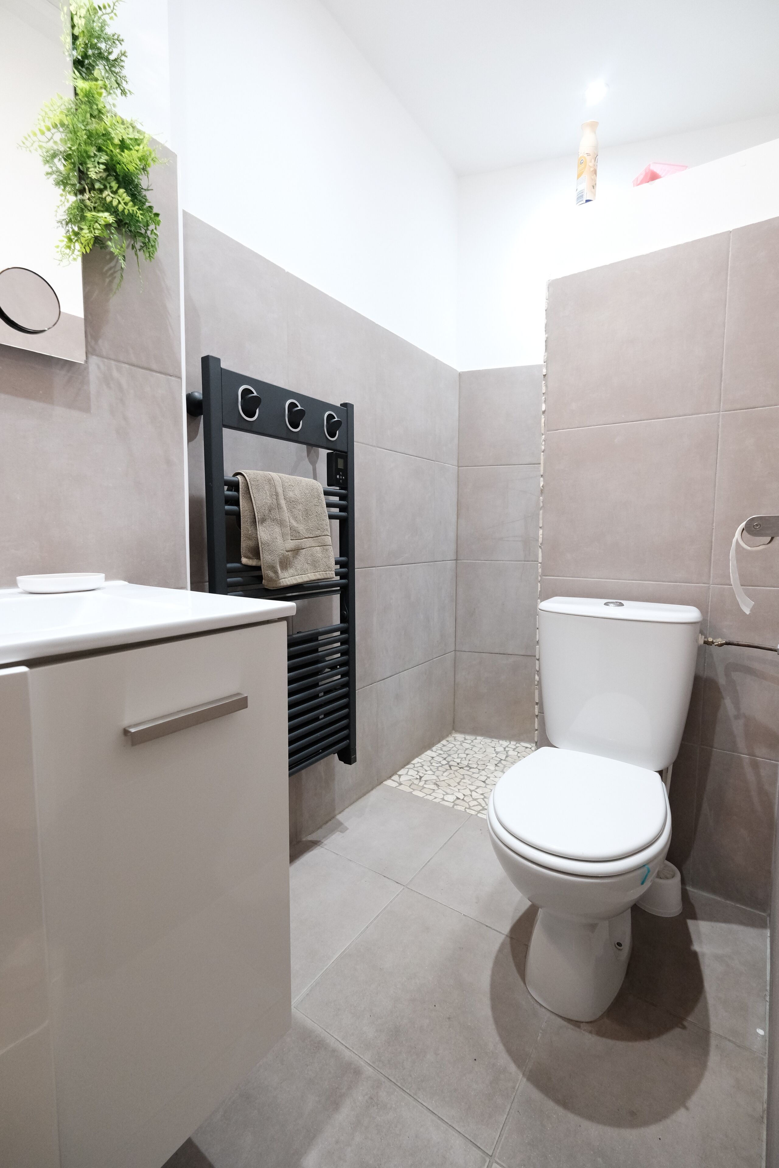 Shower, hair dryer, toilet paper