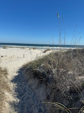 En sandstrand med gles vegetation och en klarblå himmel.