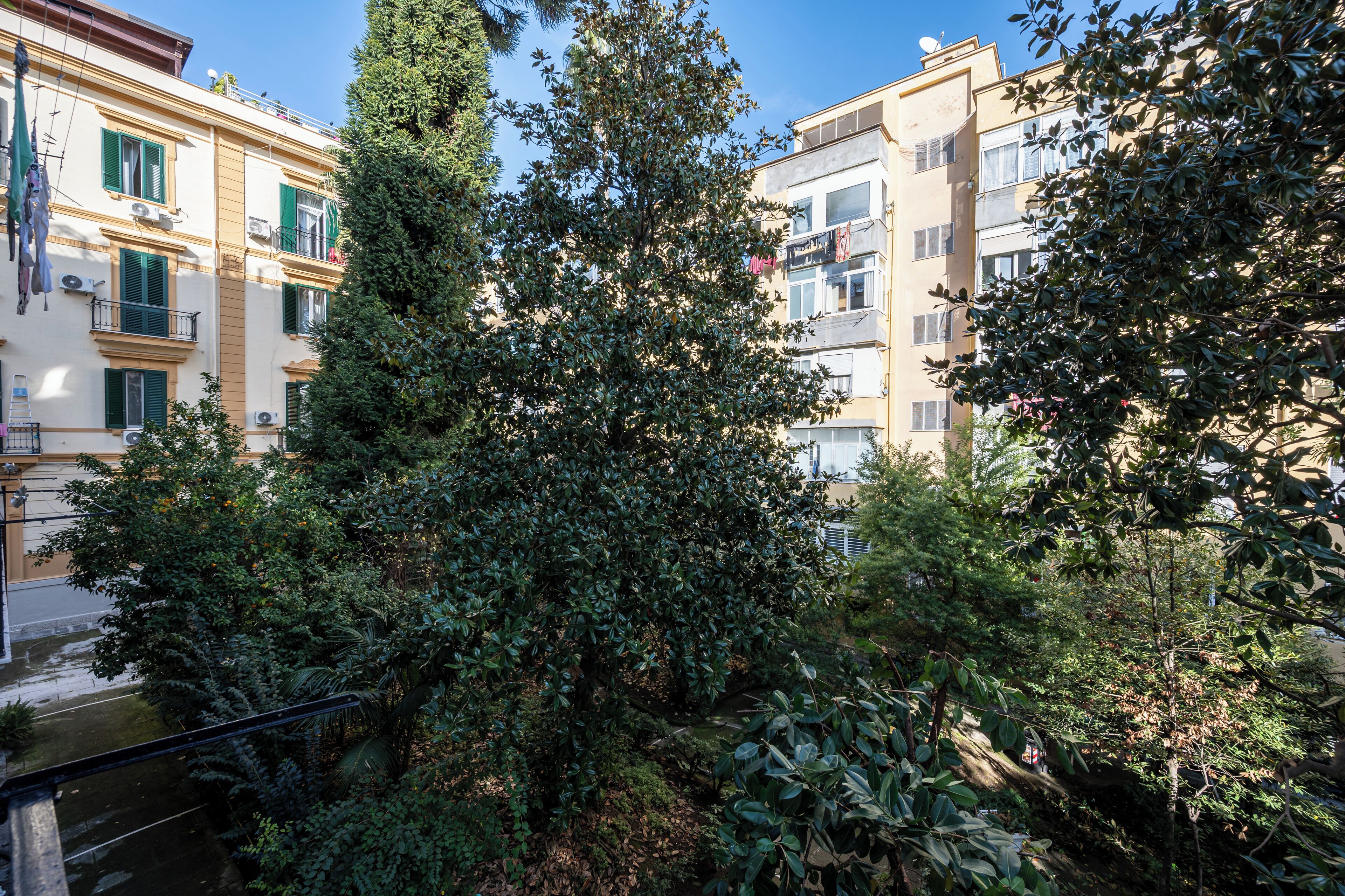A residential building with balconies, a tree in the foreground, and a clear sky.