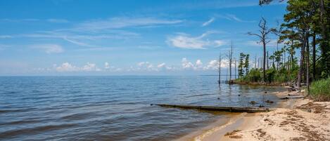 A beach with calm waters, sandy shore, and trees.
