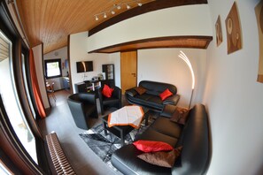 TV, DVD player, books, stereo - Himmelberg Holiday home (66) - Holiday home Meiß Öfingen (Bad Dürrheim)