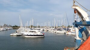 Een jachthaven met verschillende boten afgemeerd, een meeuw in de lucht en de boeg van een schip.