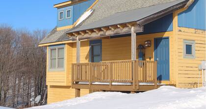 Spacious Northern Michigan Lodge with Views and Prime Location