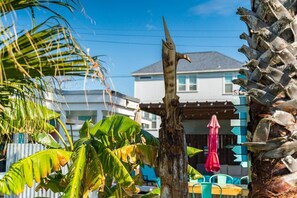 Property grounds - Heated Pool, Pets Friendly Beach Bungalow (Rockport)